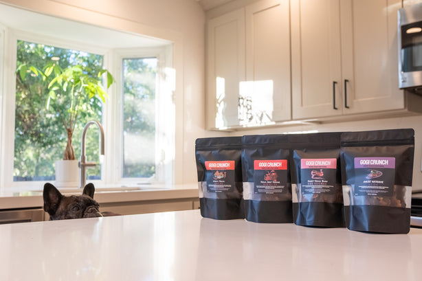 Variety Bundle (Four 1.75 oz / 49g bags)